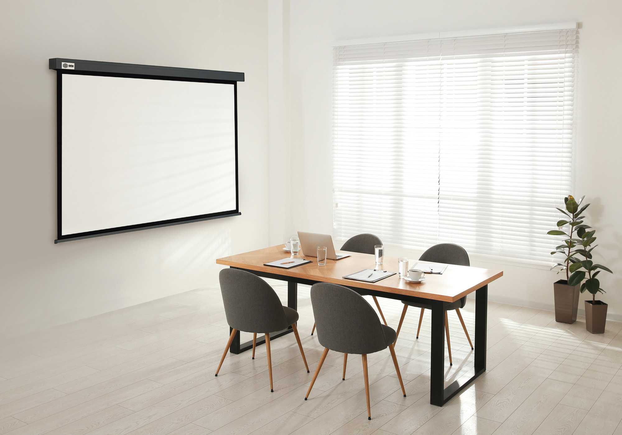 Экран Cactus 119" 213x213см Wallscreen CS-PSW-213X213-SG 1:1 настенно-потолочный рулонный серый