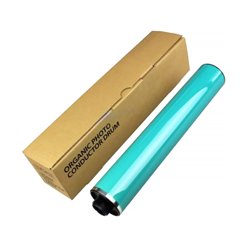 Ricoh D0099510