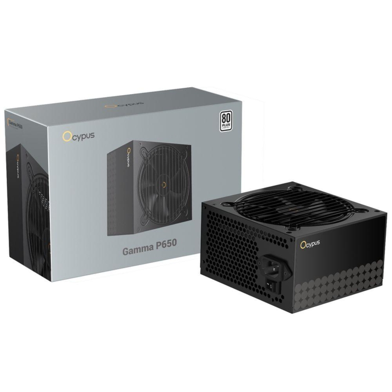 WD Gamma-P650-W1HDBK024X-EU
