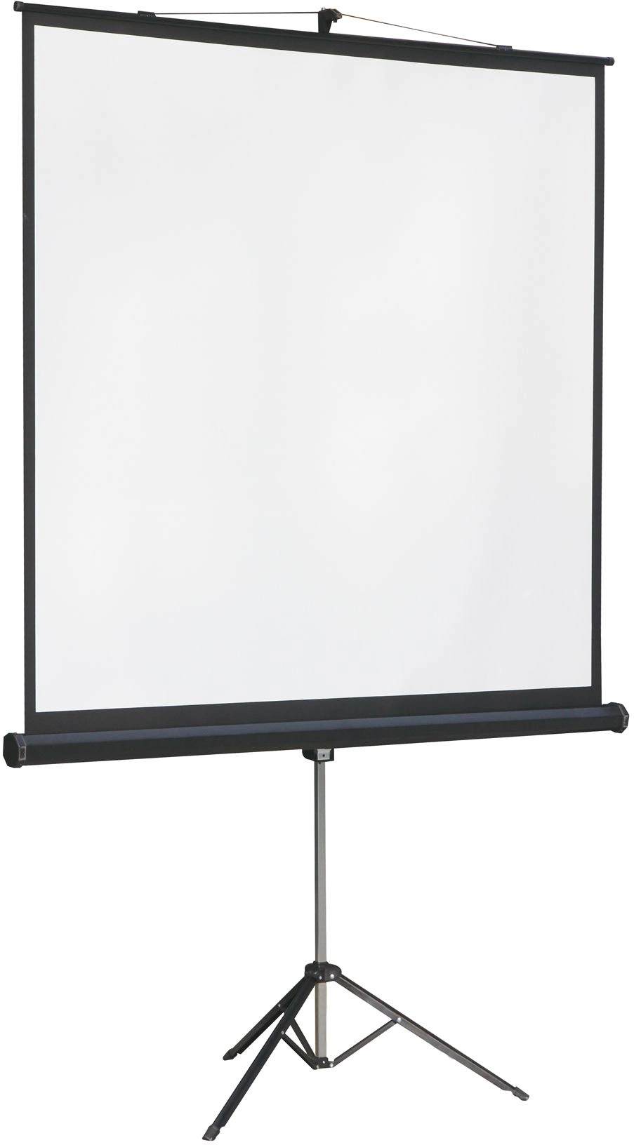 Экран на треноге Lumien 131" 244x244см Master View LMV-100105 1:1 напольный рулонный
