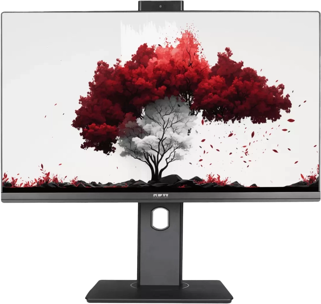 Монитор RDW Computers 23.8" RDW2402K/F00B3 черный IPS 5ms 16:9 HDMI M/M Cam матовая HAS Piv 250cd 178гр/178гр 1920x1080 75Hz DP FHD (RUS)