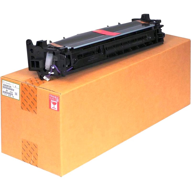 Ricoh D2020127