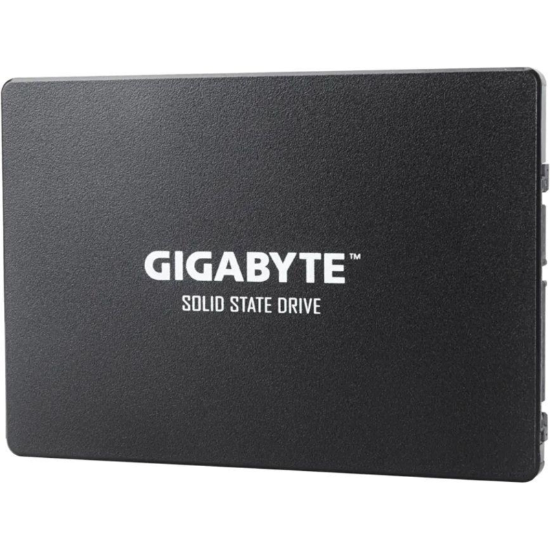 Gigabyte GP-GSTFS31480GNTD