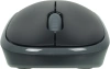 Клавиатура + мышь Logitech MK330 клав:черный мышь:черный USB беспроводная Multimedia (920-003995)
