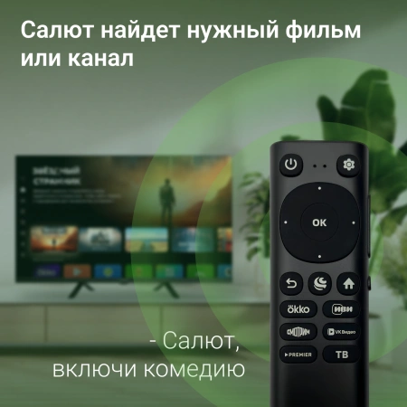 Телевизор LED Digma 32" DM-LED32SBB36 Салют ТВ Frameless Metal черный FULL HD 60Hz DVB-T DVB-T2 DVB-C DVB-S DVB-S2 USB WiFi Smart TV