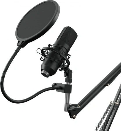 Микрофон проводной Оклик SM-700G 2.5м черный