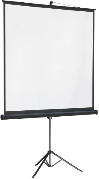 Экран на треноге Lumien 131" 244x244см Master View LMV-100105 1:1 напольный рулонный