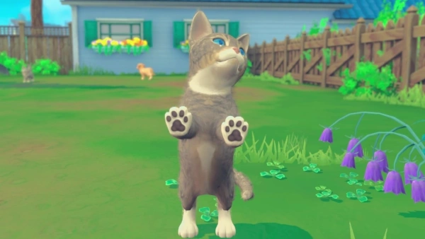 Игра для ПК Microids My Universe - Puppies & Kittens (6+)