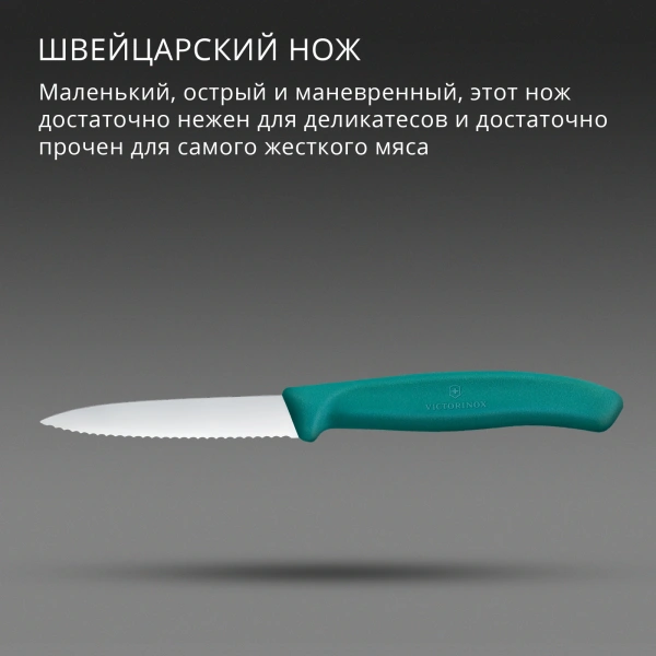 Нож кухонный Victorinox Swiss Classic (6.7634.C1) для чистки овощей и фруктов лезв.80мм серрейт. заточка зеленый
