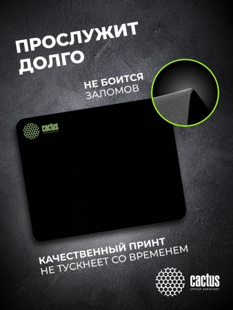 Коврик для мыши Cactus Black черный 300x250x2мм (CS-MPC-P01M)