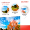 Телевизор LED Starwind 55" SW-LED55UG403 Яндекс.ТВ Frameless черный 4K Ultra HD 60Hz DVB-T DVB-T2 DVB-C DVB-S DVB-S2 USB WiFi Smart TV