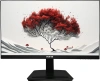 Монитор RDW Computers 23.8" RDW2401K черный IPS 4ms 16:9 HDMI M/M матовая HAS Piv 1000:1 300cd 178гр/178гр 1920x1080 100Hz VGA DP FHD 1.7кг (RUS)
