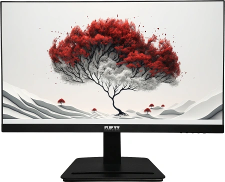 Монитор RDW Computers 23.8" RDW2401K черный IPS 4ms 16:9 HDMI M/M матовая HAS Piv 1000:1 300cd 178гр/178гр 1920x1080 100Hz VGA DP FHD 1.7кг (RUS)