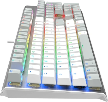 Клавиатура A4Tech FS100 механическая серый USB for gamer LED кабель 1.8м