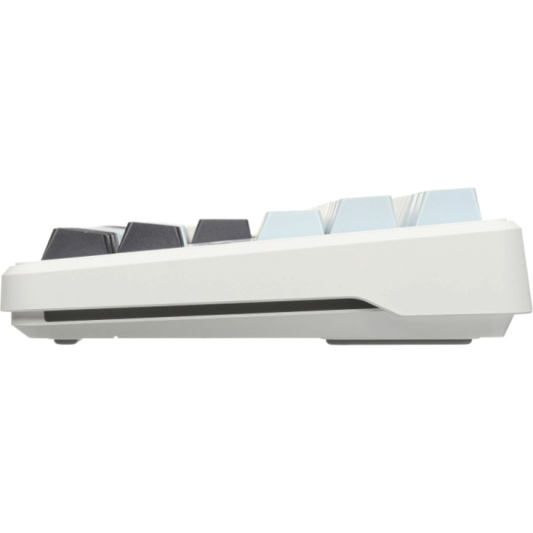 AULA F87 (6978080503800)