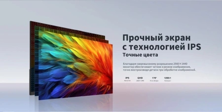 Монитор Dahua 23.8" DHI-LM24-C301B черный IPS LED 5ms 16:9 HDMI матовая 1200:1 300cd 178гр/178гр 2560x1440 100Hz DP 2K 3.1кг