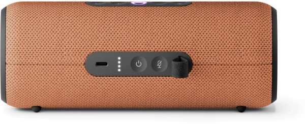 Умная колонка Yandex Стрит Алиса оранжевый 30W 2.0 BT/Wi-Fi 10м 3300mAh (YNDX-00030ORG)
