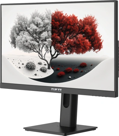 Монитор RDW Computers 23.8" RDW2401K черный IPS 4ms 16:9 HDMI M/M матовая HAS Piv 1000:1 300cd 178гр/178гр 1920x1080 100Hz VGA DP FHD 1.7кг (RUS)