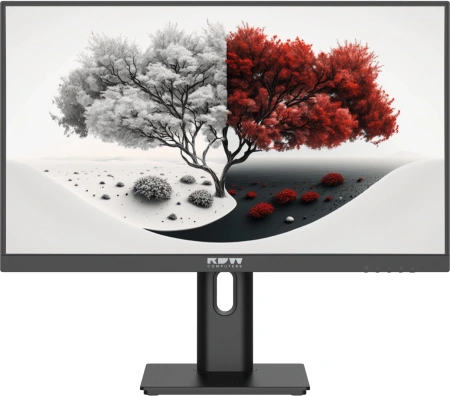 Монитор RDW Computers 23.8" RDW2401K черный IPS 4ms 16:9 HDMI M/M матовая HAS Piv 1000:1 300cd 178гр/178гр 1920x1080 100Hz VGA DP FHD 1.7кг (RUS)