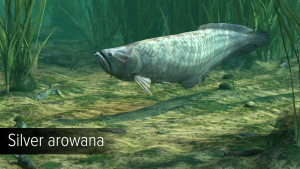 Дополнение к игре для ПК Ultimate Games Ultimate Fishing Simulator - Amazon River (12+)