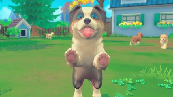 Игра для ПК Microids My Universe - Puppies & Kittens (6+)
