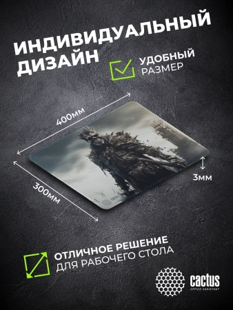 Коврик для мыши Cactus Sking 400x300x3мм (CS-MP-PRO09XL)