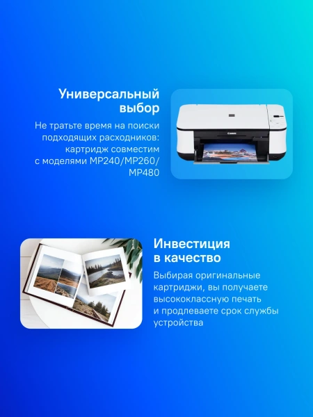 Картридж струйный Canon PG-510 2970B007/001 черный печ.гол.в компл. для Canon MP240/MP260/MP480