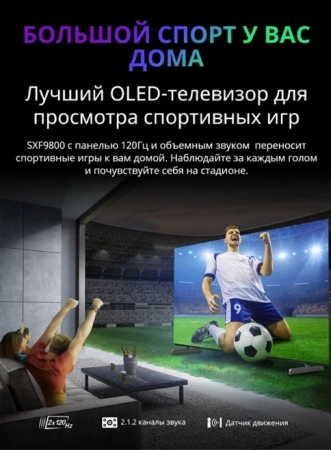 Телевизор OLED Skyworth 55" 55SXF9800 Frameless черный 4K Ultra HD 120Hz MEMC DVB-T DVB-T2 DVB-C DVB-S DVB-S2 USB WiFi Smart TV