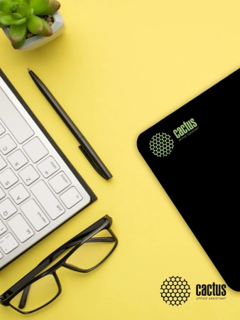 Коврик для мыши Cactus Black черный 300x250x2мм (CS-MPC-P01M)