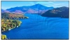 Панель Ikar 55" ПВ 55-117-300 (0.88 мм) черный IPS LED 8ms 16:9 DVI HDMI M/M матовая 1200:1 700cd 178гр/178гр 3840x2160 VGA DP UHD USB 40кг (RUS)