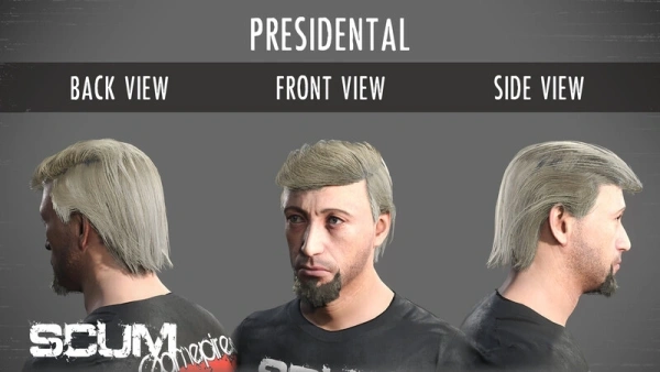 Дополнение к игре для ПК Jagex SCUM Male Hair Pack (18+)