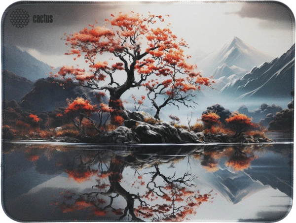 Коврик для мыши Cactus Lake рисунок 400x300x3мм (CS-MP-PRO18XL)